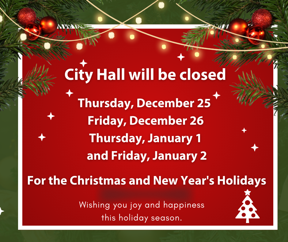 Christmas & New Years (3)